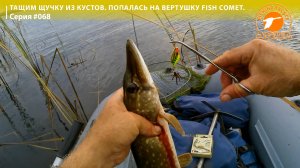 Тащим щучку из кустов. Попалась на вертушку FISH COMET.