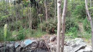 Сказочный уголок сохранился на месте лагеря имени Комарова под Форосом в Санаторном.