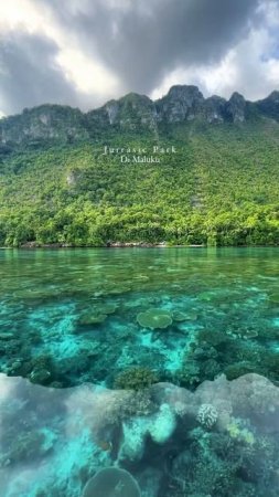 Jurassic park 🌴🌊
#красота #лето