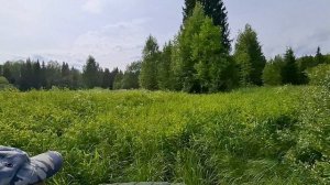 Природа зовёт: В путь!