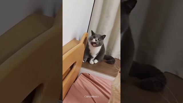 1000053892.mp4