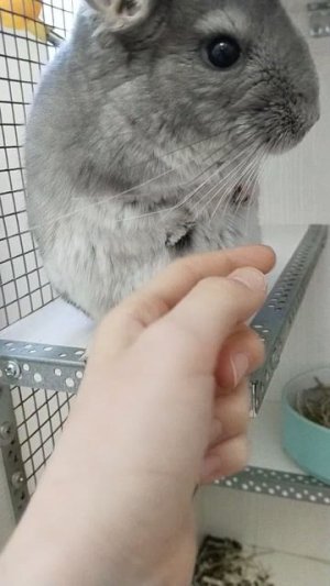 Финюша💗