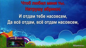 Абрикосы (караоке)