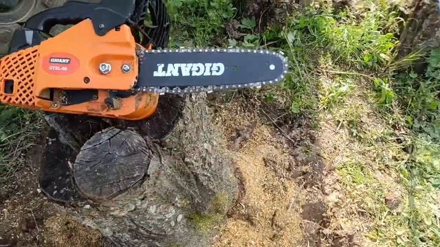 покосил траву на даче, вид напрямую от первого лица со штанги. и выпилил пеньки старые полностью всё смотреть онлайн