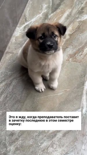 Самый долгожданный момент!