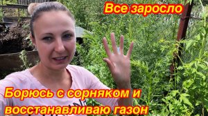 МОЯ ЗАРОСШАЯ ДАЧА/ДОШЛИ РУКИ ДО МОЕГО ЗАРОСШЕГО УЧАСТКА/ГЕНЕРАЛЬНАЯ УБОРКА ЗАПУЩЕННОГО ОГОРОДА