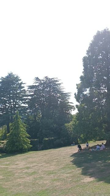 Ботанический сад, Бирмингем, Англия (The Botanical Gardens, Birmingham, UK)