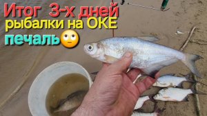 🔥Три дня и всего полведра РЫБЫ на Оке🔥ОКУНИ, ЖЕРЕХ, СОПА, КРАСНОГЛАЗКИ: итоги рыбаки !!!