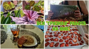 В ДОМЕ всё идёт своим чередом. Новые планы. Разбираю МОХ И рассказываю О НЁМ