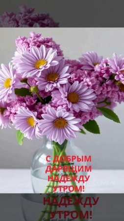 С добрым дарящим надежду утром!