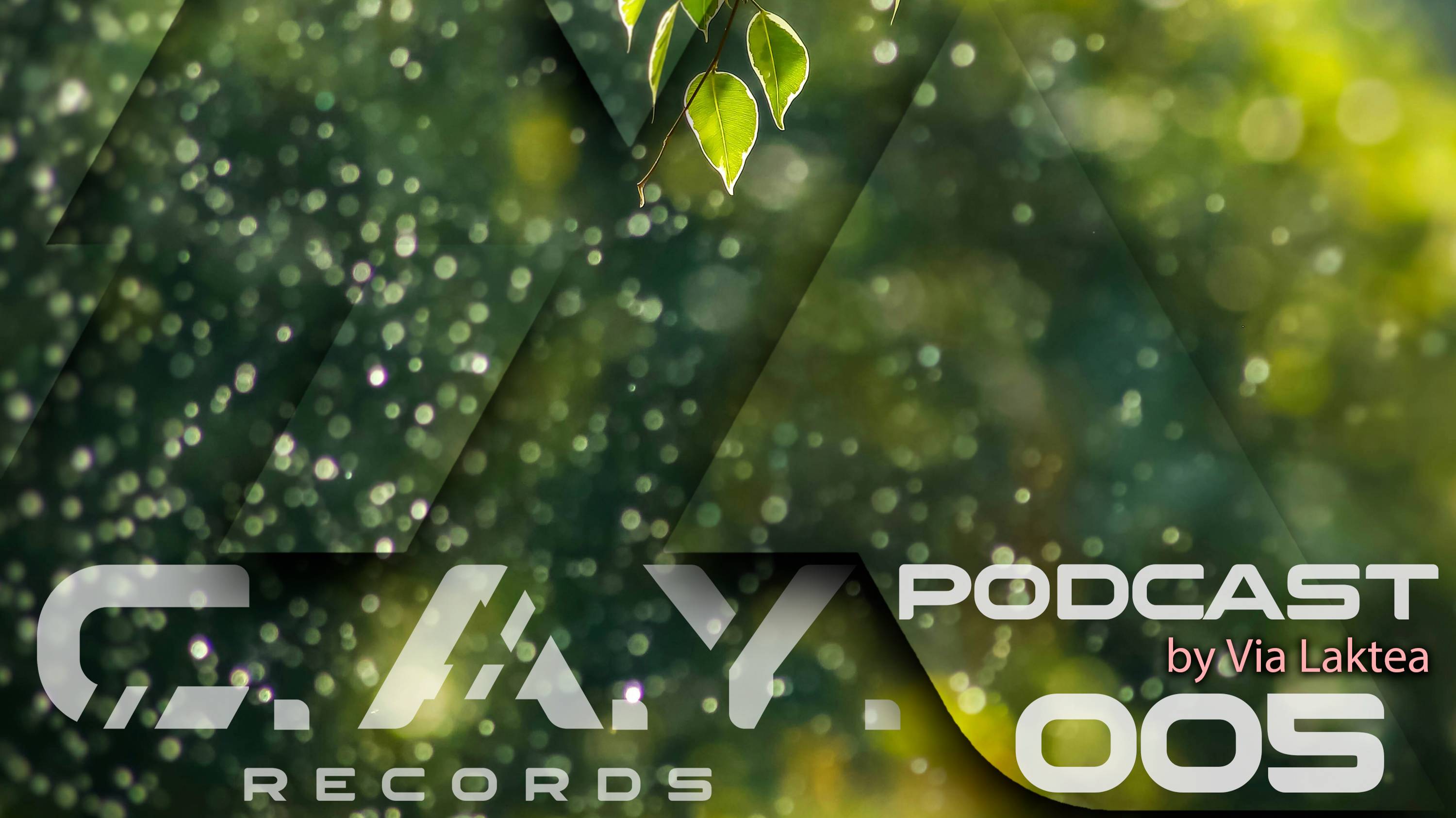 (005) C.A.Y. Records podcast by Via Laktea