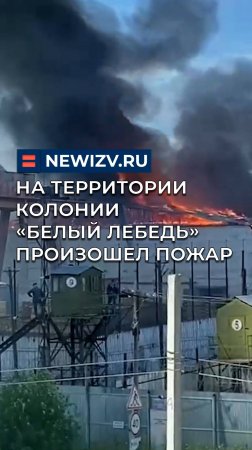 На территории колонии «Белый лебедь» произошел пожар