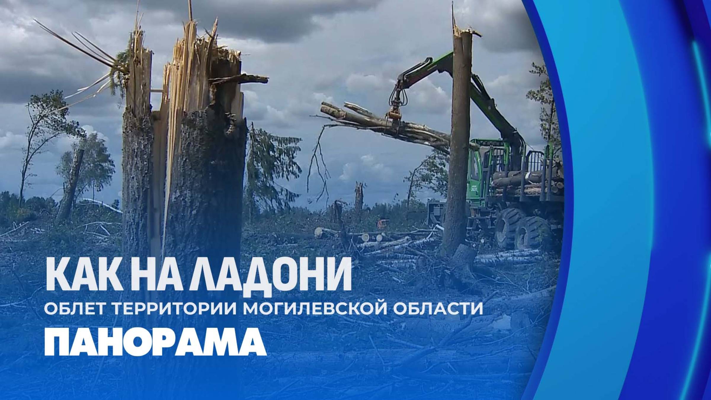 Последствия непогоды в Могилевской области! Как обстоят дела с древесиной? Панорама