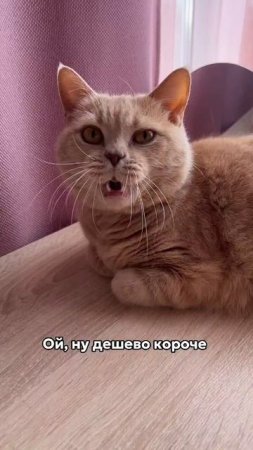 Хочешь получить товары нашего бренда бесплатно? Читай в описании