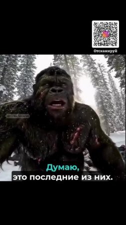 Гарри1