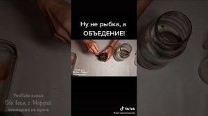 1000088259.mp4
