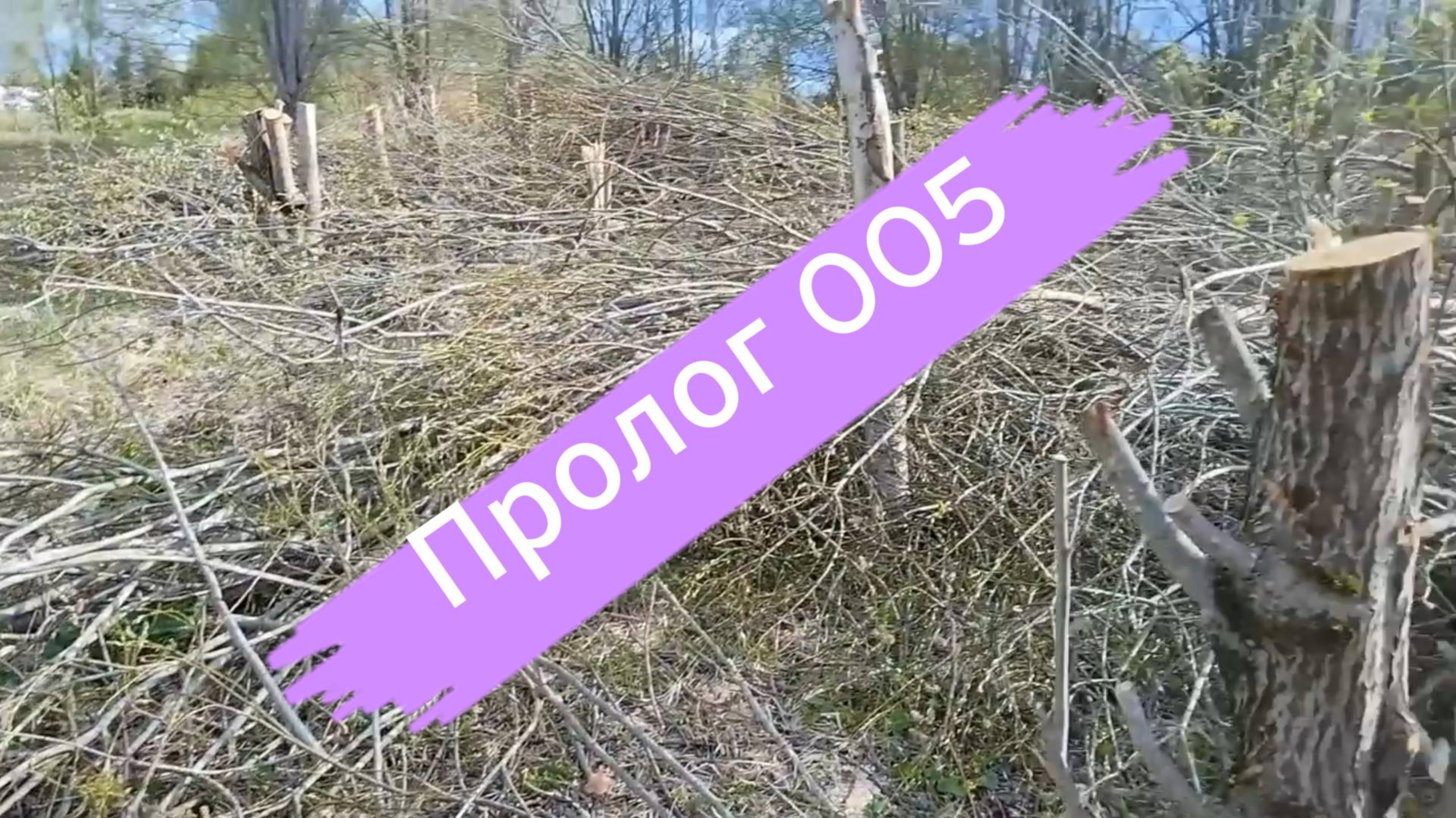 "🪓🌳Я ВЫПИЛИЛ ВСЁ НА ДАЧЕ! Теперь у меня ландшафтный дизайн от Стива из Майнкрафта... 🧱⛏️"