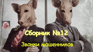 Сборник №12