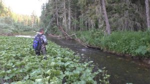 Клевая Рыбалка на Хариуса в ДЕВСТВЕННОЙ ТАЙГЕ!!! 2025 Жизнь ОТШЕЛЬНИКА Даугли 6 Рыбалка Охота Поход