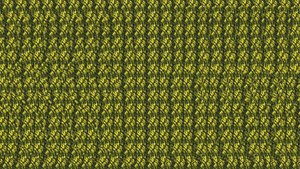 Стереозрение против усталости — включи и почувствуй • Стереопауза после учёбы