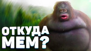 обезьяна стинки ( пароль не 1133 а 1113)