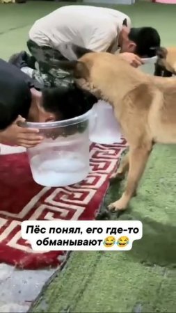 Не понял подвоха ))))