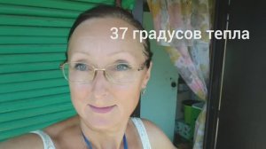 Горячий видео привет с 6 соток 10 июля 2025 года. +37С