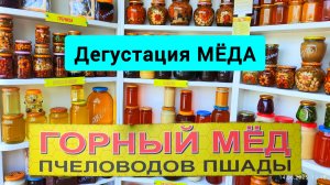 #156 Дегустация МЁДА от Пчеловода Пшады БОРЗУНОВ С.В. #леснаяцаревна #пойдемсомной #sumkiberry