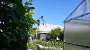 Начался ремонт крыши. Нужные покупки из "Чижика".