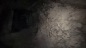 Горный Алтай 8-11 мая 2024 г