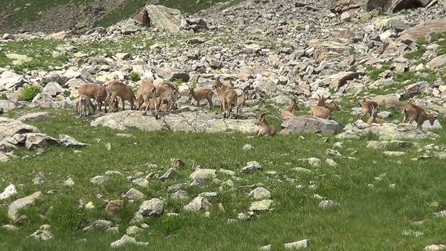 Кавказские туры на Имеретинских озерах