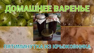 ВАРЕНЬЕ-ПЯТИМИНУТКА ИЗ КРЫЖОВНИКА