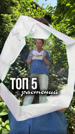 НЕ ВЕДИТЕСЬ НА ХАЙП