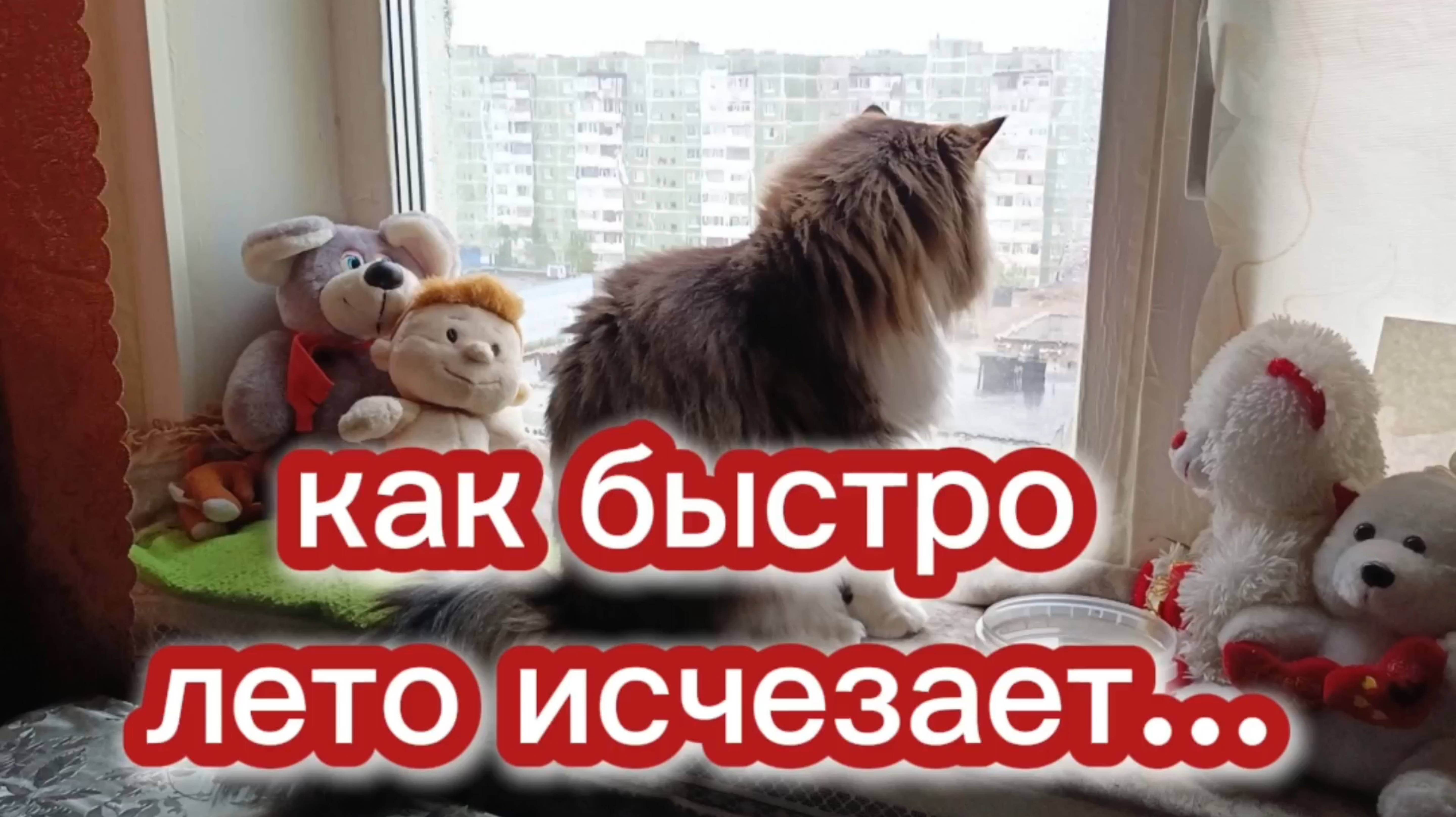 Как быстро лето исчезает.
