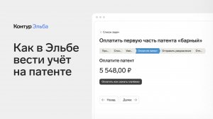 Почему Эльба идеально подходит ИП на патенте