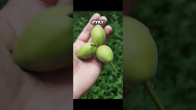 Зарабатываю на Ресторанчик Крипта Фьючерсы