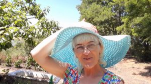 10-07Деревенские будни.Жара,в огороде всё горит.Борщ с килькой.