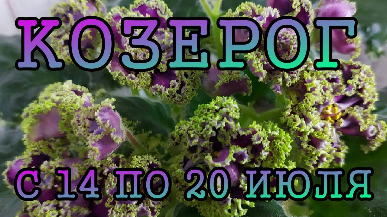 КОЗЕРОГ таро прогноз на неделю с 14 по 20 ИЮЛЯ 2025 года.