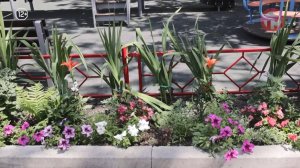 Аккуратные клумбы во дворе дома на Заречной, 2б появились благодаря стараниям неравнодушных жителей