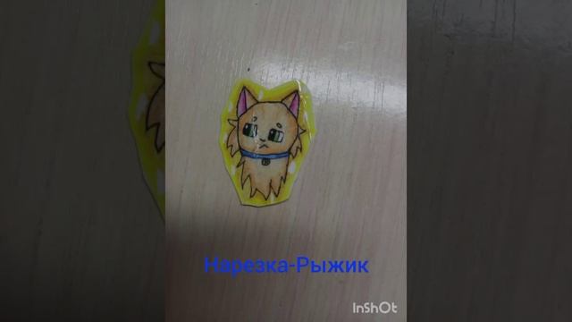 🐈⬛Обзор скетчбука по котами-воителям,и многое другое🌿シ