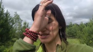 Подглядываем за бездомными галками