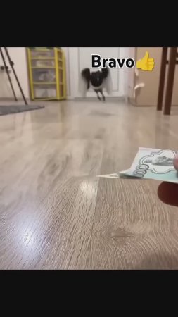 Потрясающе 👍🚀