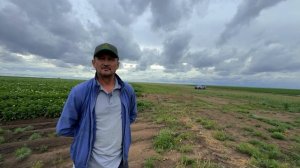 Картофельный энтузиаст в Казахстане — Еркин Альмагамбетов, Агро Трейд PV