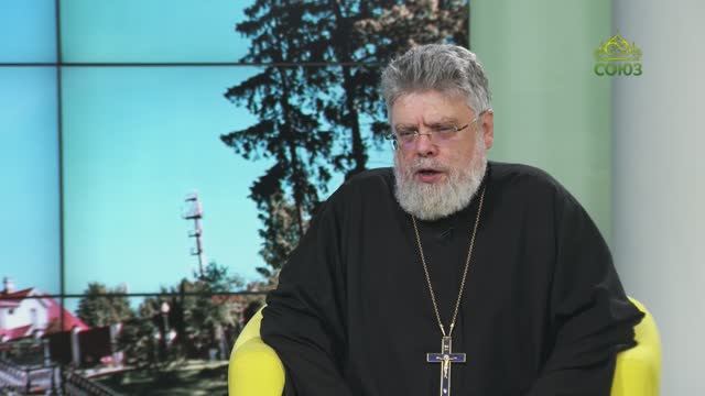 Беседы с батюшкой. Протоиерей Григорий Григорьев. 9 июля 2025