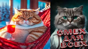 ЮМОР Смешные КОТЫ \ ПРИКОЛЫ С ЖИВОТНЫМИ ДО СЛЕЗ \ ✅Самые смешные животные  Приколы с котами 🔥