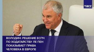 Володин: решение ЕСПЧ по ходатайству Ле Пен показывает права человека в Европе