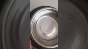 блог с моим щенком