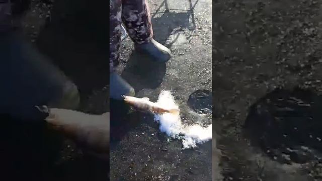 VID-20250310-WA0002