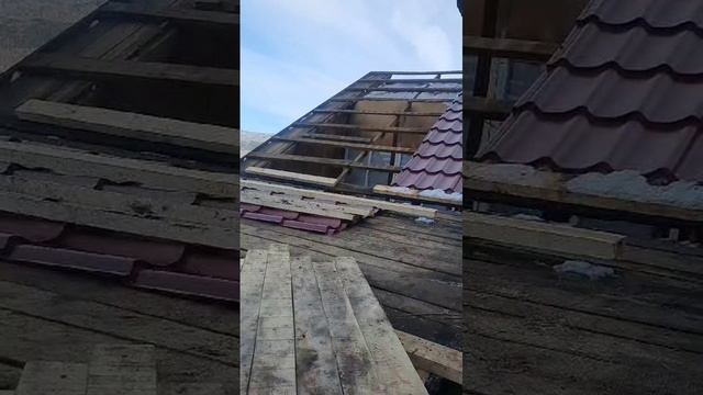 VID-20250710-WA0004