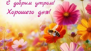 С добрым утром новым днем красивые открытки 🦋 НОВИНКА